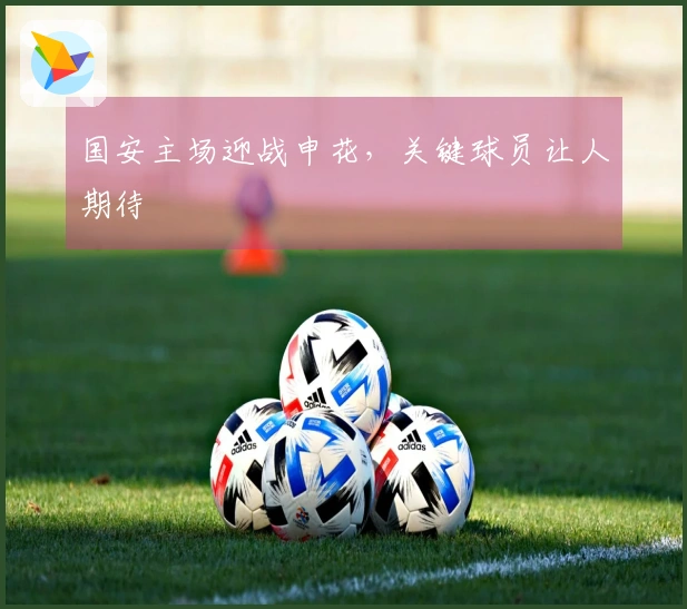 国安主场迎战申花，关键球员让人期待